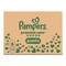 Pampers Premium Care Pants 6, (13-19 kg), pieluchomajtki, 72 szt.