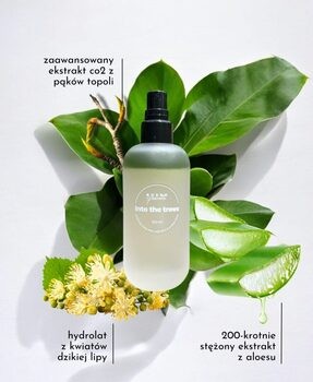 Boska Pszczoła Into the Trees, mgiełka z aloesem i pąkami topoli, 100 ml