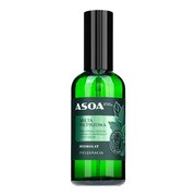 Asoa, hydrolat z mięty pieprzowej, 100 ml https://azcdn.doz.pl/image/d/product/f15171f0-scale-180x180.png