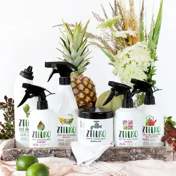 Zielko, Płyn do szyb i luster, 500 ml