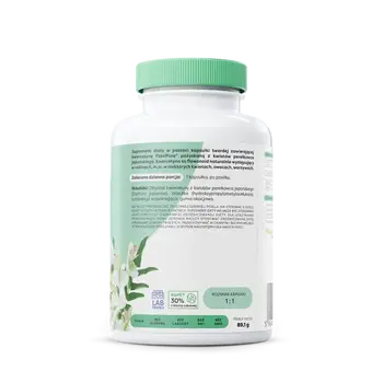 Osavi Naturalna kwercetyna 500 mg, kapsułki, 120 szt.