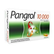 Pangrol, 10 000 j., kapsułki, 50 szt. (blistry) https://azcdn.doz.pl/image/d/product/18cde82c-scale-180x180.png
