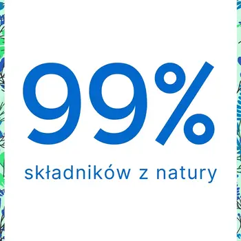 Zielko, Płyn do szyb i luster, owoce leśnie, 500 ml