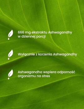 Essensey Ashwagandha Forte, kapsułki, 90 szt.