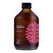 VIGO Kombucha z mango i marakują, napój herbaciany, 330 ml