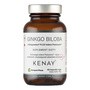 KENAY Ginkgo Biloba z Ginkgoselect Plus Indena Phytosome TM, kapsułki, 60 szt.