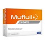 Mufluil Forte, roztwór do nebulizacji, 2 ml, 10 ampułek