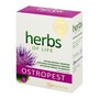 Herbs of Life, Ostropest, tabletki, 30 szt.