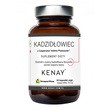 KENAY Kadzidłowiec formuła Casperome Indena Phytosome, kapsułki, 60 szt.