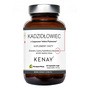 KENAY Kadzidłowiec formuła Casperome Indena Phytosome, kapsułki, 60 szt.