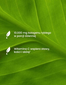 Essensey Kolagen Rybi Premium 10 000 mg, proszek, smak mango - pomarańcza, 321 g