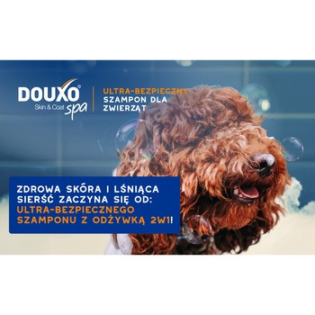 Douxo Spa 2in1, ultra-bezpieczny szampon z odżywką dla psów, 250 ml