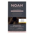 NOAH Color In Oil, olejkowa farba do włosów, 6.0 Dark Blond, 135 ml