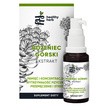 Healthy Herb Różeniec górski ekstrakt, krople, 30 ml
