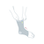 Actimove AC Ankle Support, opaska stawu skokowego, rozmiar XL, 1 szt.