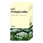 Flos Liść podagrycznika, zioła do zaparzania, saszetki, 1 g x 25 szt.