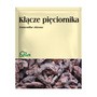 Kłącze pięciornika, zioło pojedyncze, 50 g (Flos)