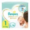 Pampers Premium Care 1 (2−5 kg), pieluszki jednorazowe, 78 szt.