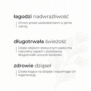Sylveco, pasta do zębów, eukaliptusowa, 100 g