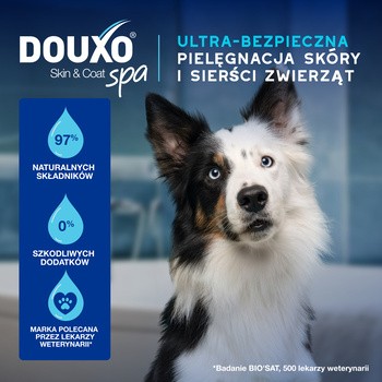 Douxo Spa Dewaxing Ear Cleaner, preparat do czyszczenia uszu dla psów i kotów, 120 ml