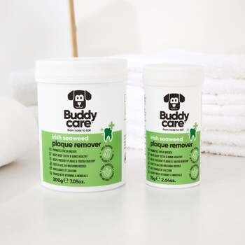 Buddycare, środek z alg irlandzkich do usuwania płytki nazębnej, 75 g