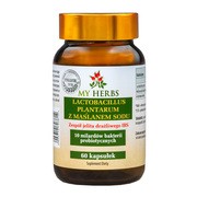 My Herbs Lactobacillus Plantarum z Maślanem Sodu, kapsułki, 60 szt. https://azcdn.doz.pl/image/d/product/1bdca14a-scale-180x180.png