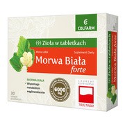 Morwa Biała Forte, tabletki powlekane, 60 szt. https://azcdn.doz.pl/image/d/product/29609fa1-scale-180x180.png
