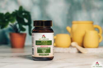 My Herbs EGCG Ekstrakt z zielonej herbaty z cynkiem, kapsułki, 80 szt.