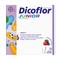 Dicoflor Junior, saszetki z proszkiem, smak owoce leśne, 20 szt.