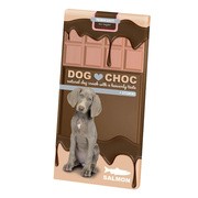 Dog Choc, czekolada dla psa o smaku łososia, 100 g https://azcdn.doz.pl/image/d/product/31ae8def-scale-180x180.png