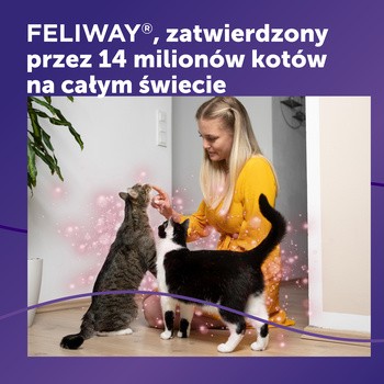 Feliway Friends, wkład uzupełniający 48 ml, 1 szt.