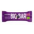 Naura, Bio Bar, Kokos & Czarna Porzeczka, baton daktylowy, 35 g