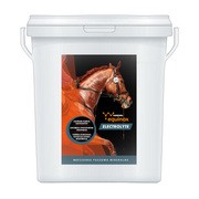 Yarrowia Equinox Electrolyte, mieszanka paszowa mineralna dla koni, granulat, 1,5 kg https://azcdn.doz.pl/image/d/product/689eac16-scale-180x180.png