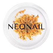 NeoNail, ozdoby do paznokci, kwiaty, orange, 1 szt. https://azcdn.doz.pl/image/d/product/8805f059-scale-180x180.png