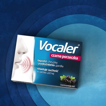 Vocaler czarna porzeczka, pastylki do ssania, 12 szt.