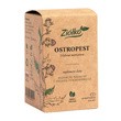 Ziółko Ostropest, kapsułki, 60 szt.
