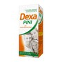 DexaPini, syrop, 115 ml 