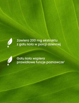 Essensey Gotu Kola, kapsulki, 90 szt.