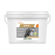 Yarrowia Equinox Joints, granulat, 3 kg https://azcdn.doz.pl/image/d/product/d16cd9d8-scale-180x180.png