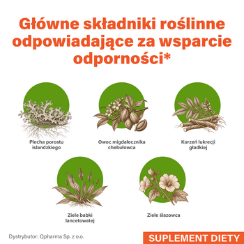 Padma Basic, kapsułki, 100 szt.