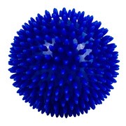Sanity Jeżyk, piłka rehabilitacyjna z kolcami, średnica 10 cm, 1 szt. https://azcdn.doz.pl/image/d/product/2c462cc5-scale-180x180.png