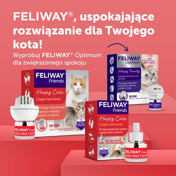 Feliway Friends, wkład uzupełniający 48 ml, 1 szt.