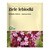 Flos Ziele lebiodki, herbatka ziołowa, 50 g