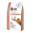 Brit Veterinary Diets Dog Grain Free Renal, dietetyczna karma dla psów z zaburzeniami funkcji nerek, żółty groszek i jajka, 2 kg
