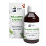 Healthy Herb, Niezłomny Kręgarz, płyn, 250 ml