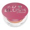 Bell The Best Blush Powder, matowy róż do policzków, 01 Peachy, 3,7 g