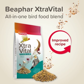 Beaphar XTR Large Prakeet, karma dla większych papużek, 500 g