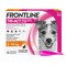Frontline Tri-Act Spot-on S Pies 5-10 kg, potrójna ochrona przed pasożytami, krople w pipetach, 1 ml x 3 szt.