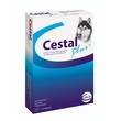Cestal Plus, tabletki odrobaczające dla psów, do rozgryzania i żucia, 8 szt.