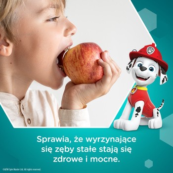 Aquafresh Big Teeth Psi Patrol, pasta do zębów, 6-8 lat, 50 ml